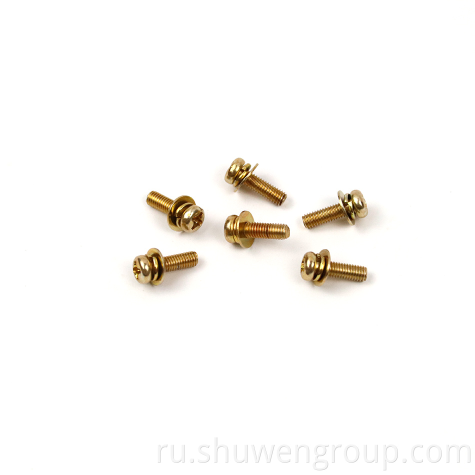 Gold Plated Screws with Washers